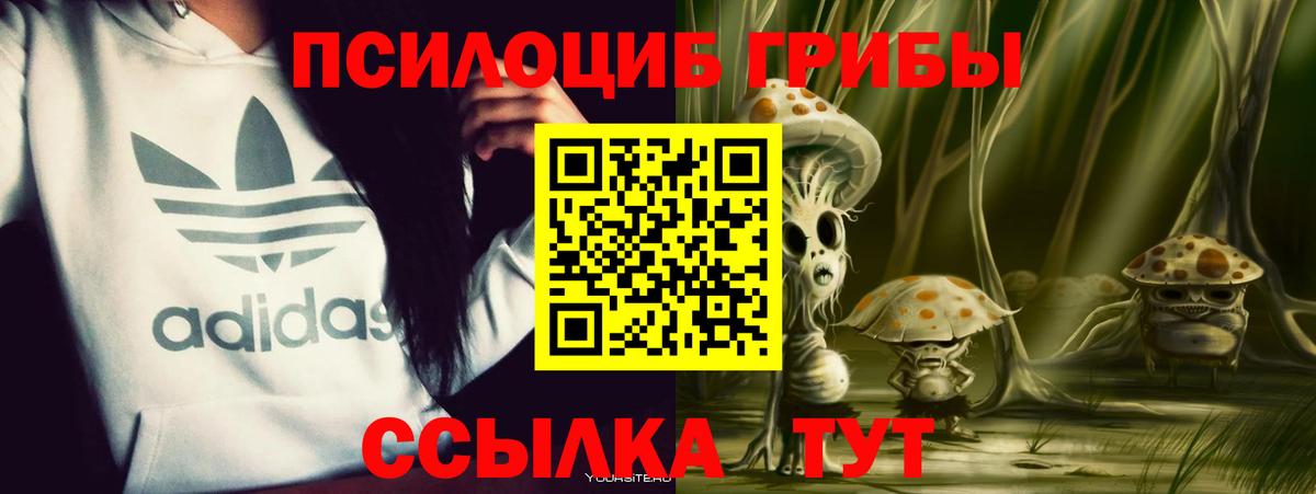 Галлюциногенные грибы прущие грибы Первоуральск